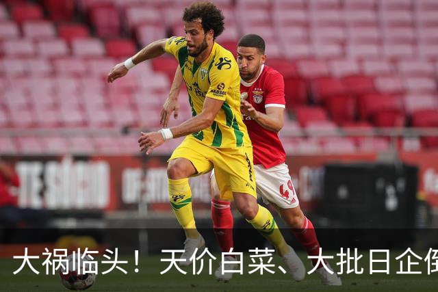 大祸临头！天价白菜、大批日企倒闭，别指望中国兜底，日本崩溃了
